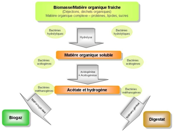 schema methanisation